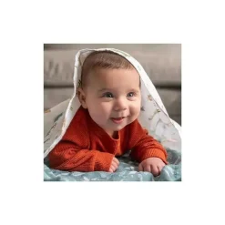 Aden + Anais - 4Pk Essential Dino Jungle Swaddle Blankets Discount