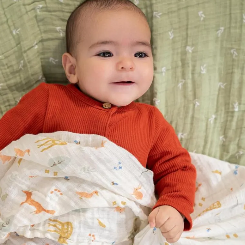 aden__anais__pk_essential_SKUwPNELCbd_3.webp Aden + Anais - 4Pk Essentials Cotton Muslin Swaddle, Sage Woodland Discount