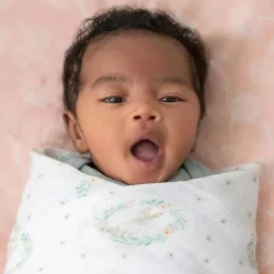 Aden + Anais - 4Pk Swaddles de musselina Coelhinhos corados Discount