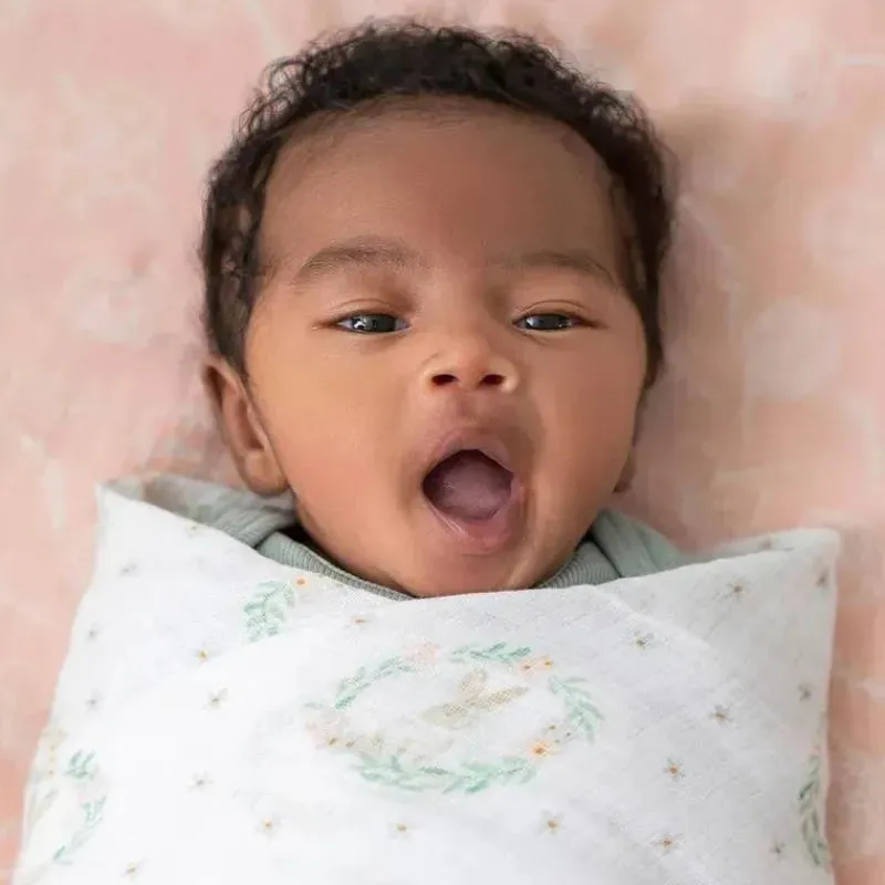 aden__anais__pk_swaddles__SKUhiNdvM0h_3.webp Aden + Anais - 4Pk Swaddles de musselina Coelhinhos corados Discount