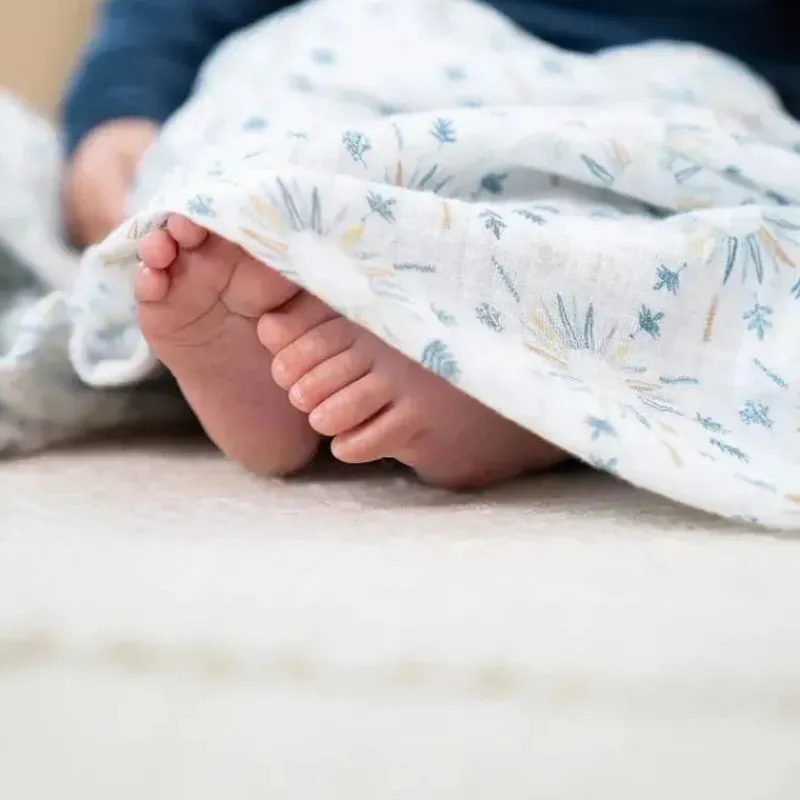 aden__anais__pk_swaddles__SKUyzCi2OWX_3.webp Aden + Anais - 4Pk Swaddles de musselina Harmonia Online