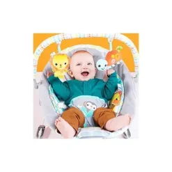 Bright Starts Bouncer de berço selvagem lunático Clearance
