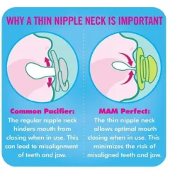 Mam Chupeta 2 Pack Perfect 6M+ - Rosa/Roxo Sale