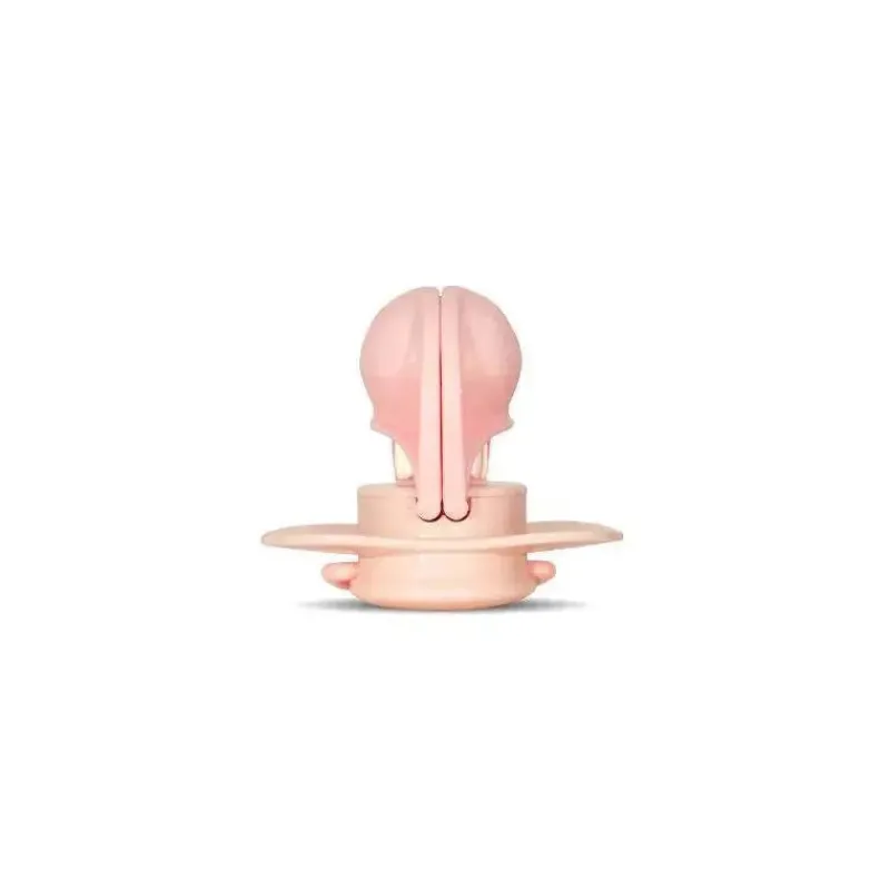 chupeta_razbaby__keep_it__SKU5ytjxfx4_3.webp Raz Baby Chupeta Razbaby - Keep It Kleen 2Pk, rosa claro e biscoitos e creme New