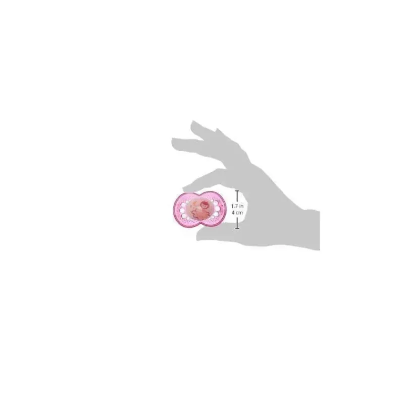 chupetas_noturnas_para_me_SKU0lyEVGyq_4.webp Mam Chupetas noturnas para meninas , 6M+ Fashion