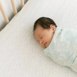 Crane Bedding - Cove Fited Crib Sheet, Hashtag Online