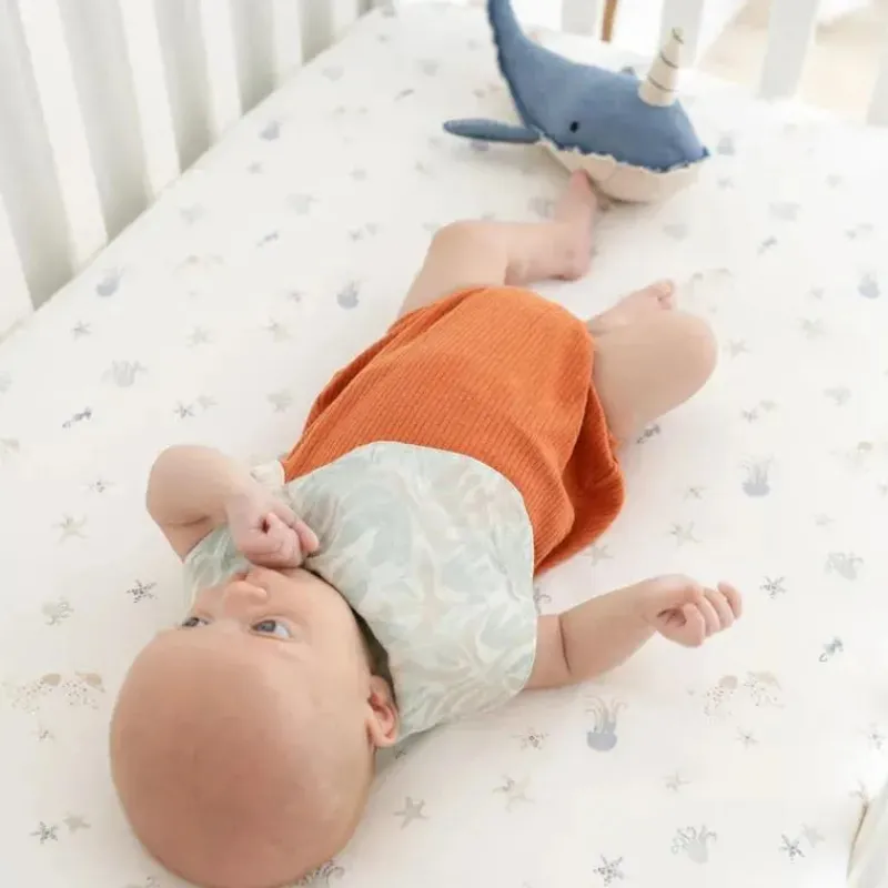 crane_bedding__cove_fitte_SKU3r73Aw6G_5.webp Crane Bedding - Cove Fitted Crib Sheet, Sea Life Outlet