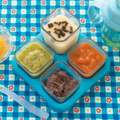 Iplay Cubos de vidro de alimentos frescos 2 oz 4 pacote - Aqua Online