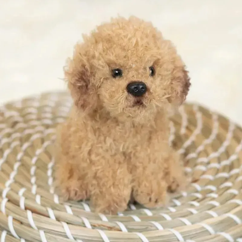 demdaco__brinquedo_de_pel_SKUPpRvpVA6_3.webp Demdaco - Brinquedo de pelúcia Labradoodle Beanbag, marrom claro Best