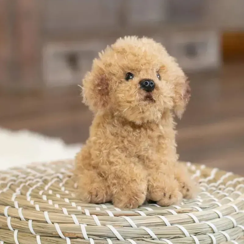 demdaco__brinquedo_de_pel_SKUPpRvpVA6_4.webp Demdaco - Brinquedo de pelúcia Labradoodle Beanbag, marrom claro Best