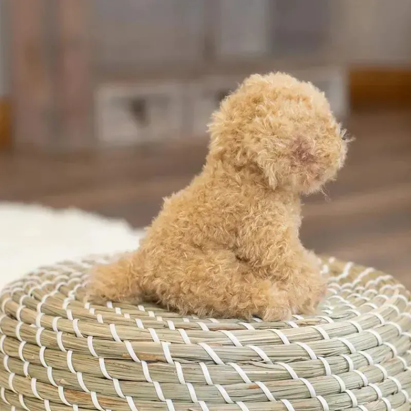 demdaco__brinquedo_de_pel_SKUPpRvpVA6_5.webp Demdaco - Brinquedo de pelúcia Labradoodle Beanbag, marrom claro Best