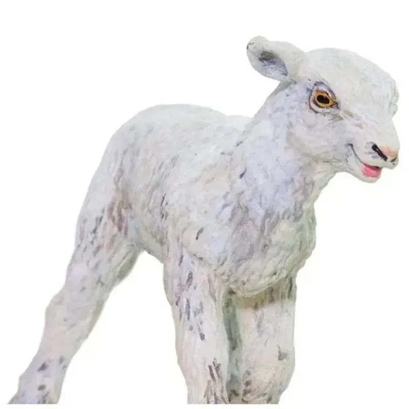 fazenda_safari_de_cordeir_SKU8mxxae9R_2.webp Safari Ltd Fazenda Safari de Cordeiros Fashion