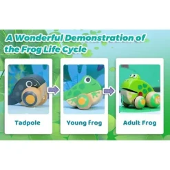 Hape - Família Pull Along Frog com rodas anti-capotamento Best