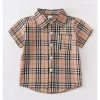 Honeydew - Camisa xadrez marrom bebê com botões para menino Hot