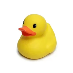 Infantino - Fun Time Duck New