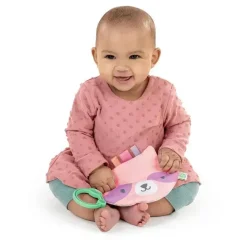 Ingenuity - Brinquedo Dobrável de Guaxinim para Recém-nascidos Best
