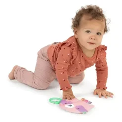 Ingenuity - Brinquedo Dobrável de Guaxinim para Recém-nascidos Best