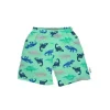Iplay - Trunks Classic com Fralda de Natação Absorvente Reutilizável Embutida, Seafoam Simple Dino New