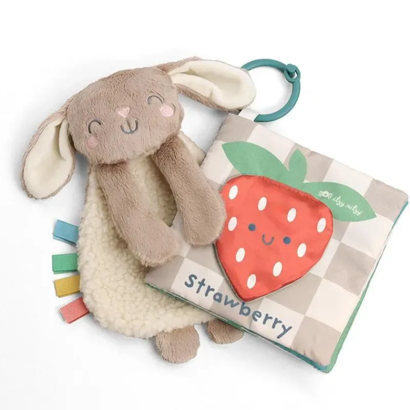 itzy_ritzy__itzy_learn_am_SKUhfN26Jdk_0.webp Itzy Ritzy - Itzy Learn & Snuggle Gitf Set, Bunny New