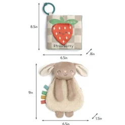 Itzy Ritzy - Itzy Learn & Snuggle Gitf Set, Bunny New