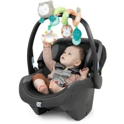 Ingenuity Kids II - Barra de brinquedos de atividade em espiral de Nally &amp; Friends Online