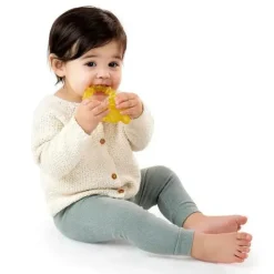 Ingenuity Kids II - Mordedor de Água Cool Bite Bomby Discount