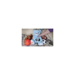 My Baby's Heartbeat Bear Kit Urso Revelador do Sexo do Urso Cardíaco do Meu Bebê Azul Hot