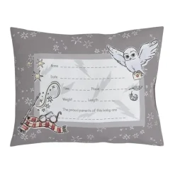 NoJo - Warner Brothers Harry Potter Magical Moments Keepsake Pillow Outlet