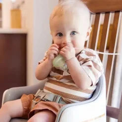 Ola Baby - Alimentador de frutas frescas de silicone e conjunto de picolé para introdução de alimentos sólidos, lilás Discount