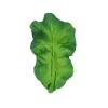 Oli u0026 Carol Oli &amp; Carol - brinquedo mastigável, Kendall The Kale Hot