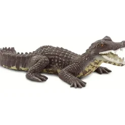 Safari Ltd . - Estatueta Caiman, Figura Realista de 5 Répteis Best