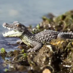 Safari Ltd . - Estatueta Caiman, Figura Realista de 5 Répteis Best