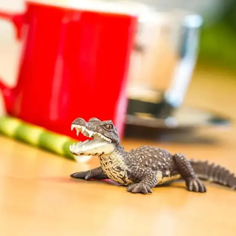 safari_ltd__estatueta_cai_SKUIrbsY6Mo_6.webp Safari Ltd . - Estatueta Caiman, Figura Realista de 5 Répteis Best