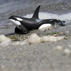 Safari Ltd . - Estatueta de orca da vida marinha do Safari selvagem Sale