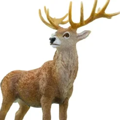 Safari Ltd . - Estatueta de veado vermelho, figura detalhada de 4,75 Discount