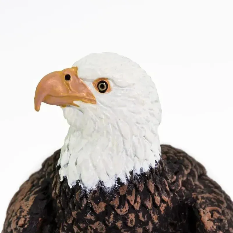 safari_ltd__estatueta_de__SKUojd4Ls3R_4.webp Safari Ltd . - Estatueta de águia americana Sale