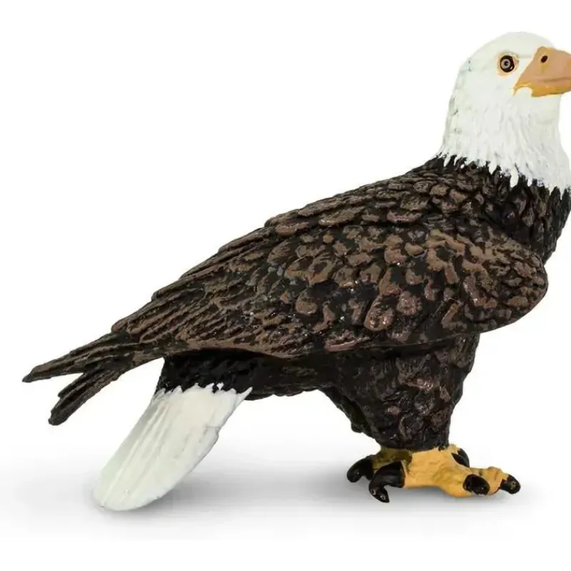 safari_ltd__estatueta_de__SKUojd4Ls3R_5.webp Safari Ltd . - Estatueta de águia americana Sale