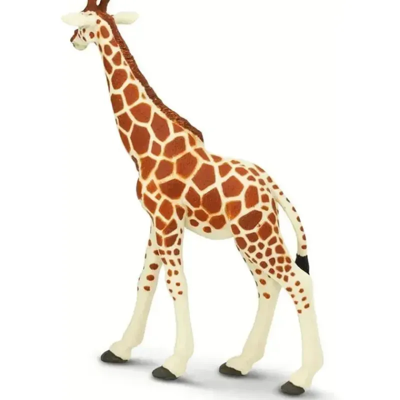 safari_ltd__estatueta_de__SKUtxcq4HFX_0.webp Safari Ltd . - Estatueta de girafa reticulada, figura realista de 7 modelos Outlet