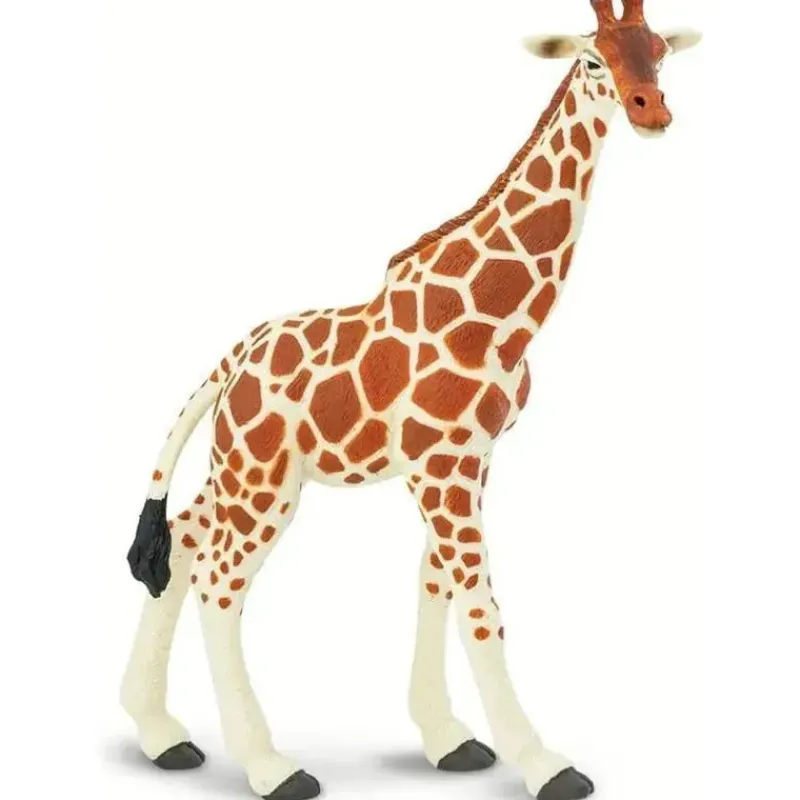 safari_ltd__estatueta_de__SKUtxcq4HFX_3.webp Safari Ltd . - Estatueta de girafa reticulada, figura realista de 7 modelos Outlet