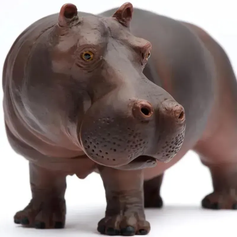 safari_ltd__hipoptamo_da__SKUt5WHO7nf_0.webp Safari Ltd . - Hipopótamo da vida selvagem do Safari selvagem Best