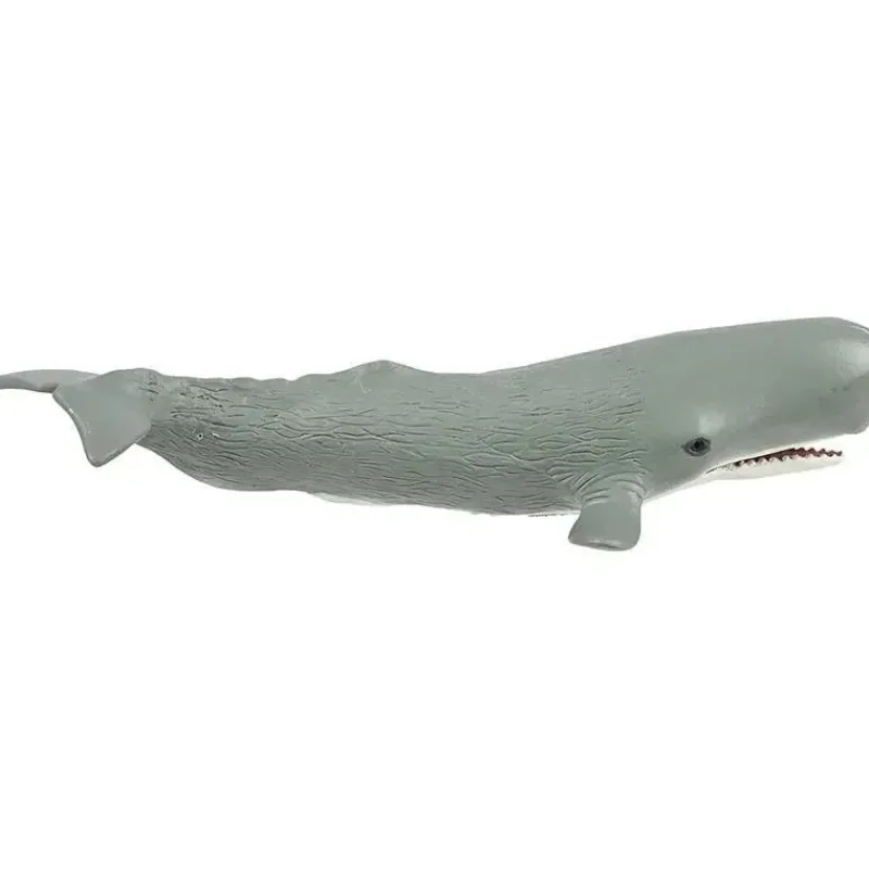 safari_ltd_cachalote_wild_SKUPR2ytL9w_2.webp Safari Ltd Cachalote Wild Safari Sea Life Hot