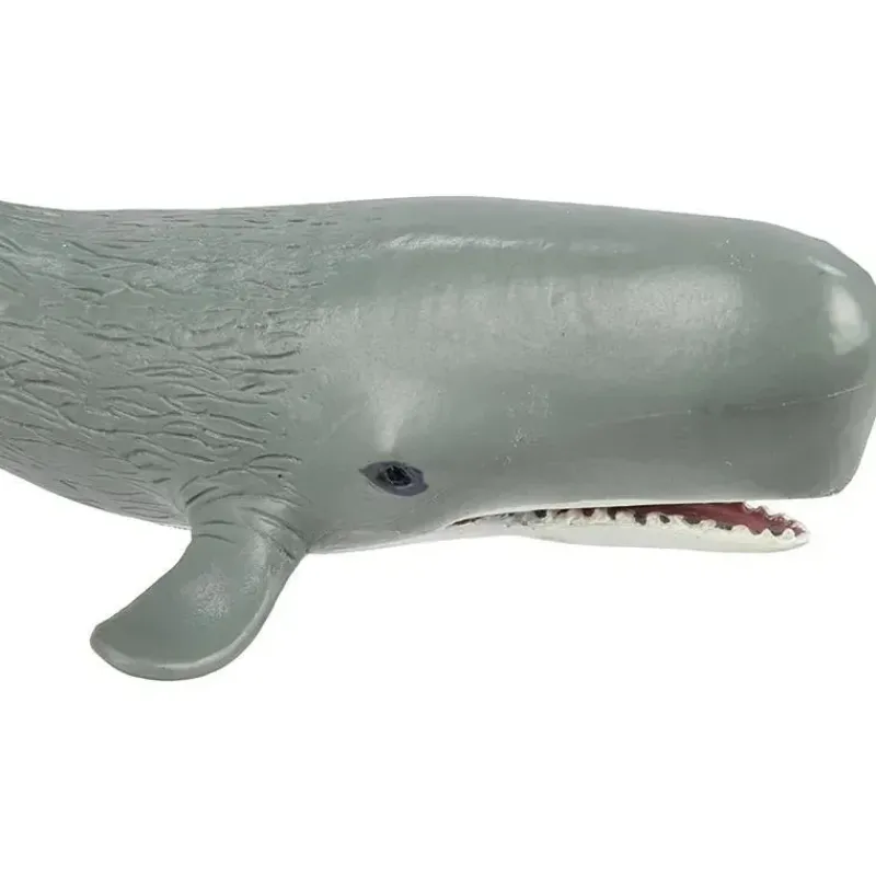 safari_ltd_cachalote_wild_SKUPR2ytL9w_4.webp Safari Ltd Cachalote Wild Safari Sea Life Hot