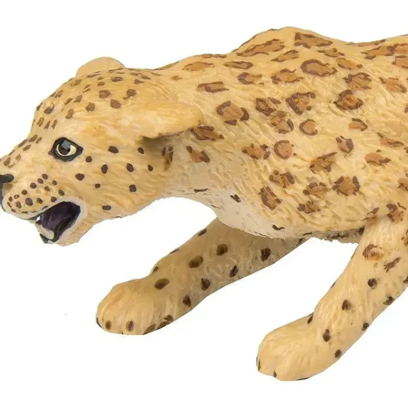 safari_ltd_leopard_wild_s_SKUo9KOGeMR_1.webp Safari Ltd Leopard Wild Safari Wildlife Discount