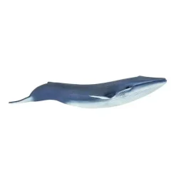 Safari Ltd a Vida Selvagem de Baleia Azul a Online