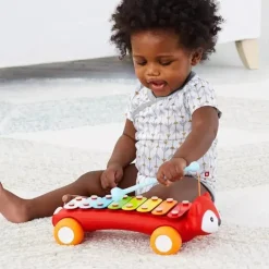 Skip Hop - Explore e mais xilofone de brinquedo musical, Fox Clearance