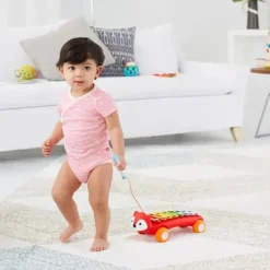 Skip Hop - Explore e mais xilofone de brinquedo musical, Fox Clearance