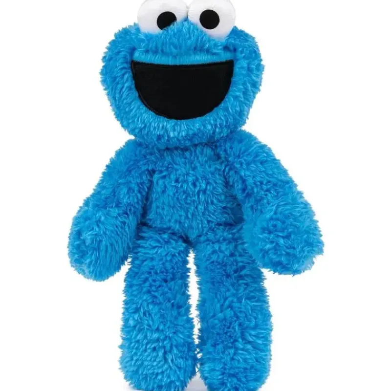 spin_master__cookie_monst_SKUE28MIDUy_4.webp Spin Master - Cookie Monster Leve Junto Amigo 13 Clearance