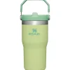 Stanley - copo de aço inoxidável IceFlow de 20 onças com palha, limão Outlet