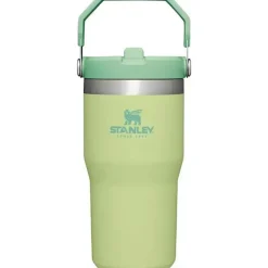 Stanley - copo de aço inoxidável IceFlow de 20 onças com palha, limão Outlet