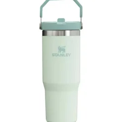 Stanley - copo de aço inoxidável IceFlow de 30 onças com palha e névoa Online